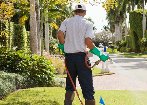 About Alpena AR Pest Control Pros